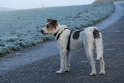 001 Felix SAM_5443 Kopie